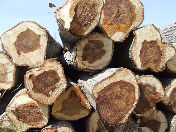 madera natural